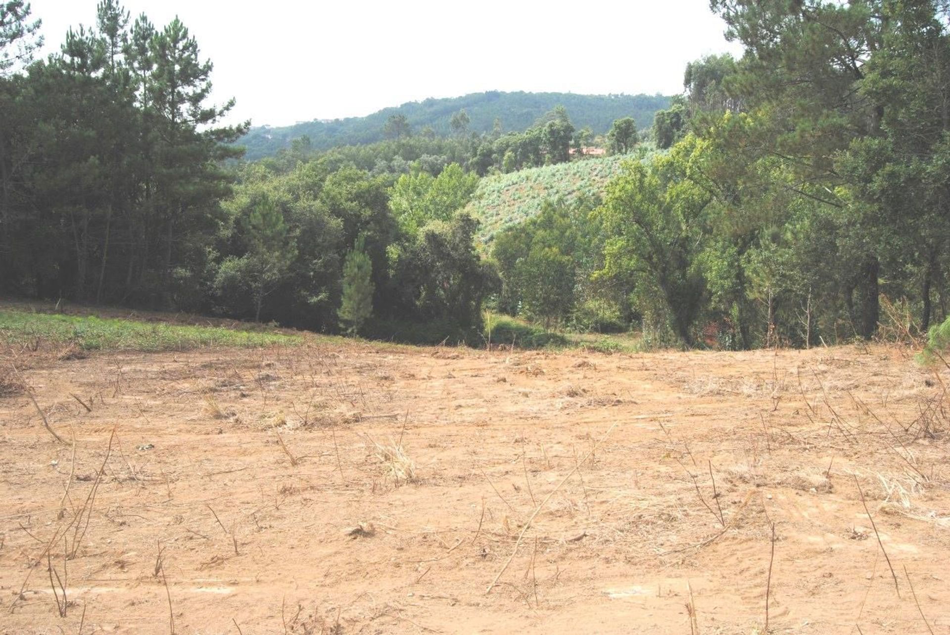 Land in Benedita, Leiria 12892110