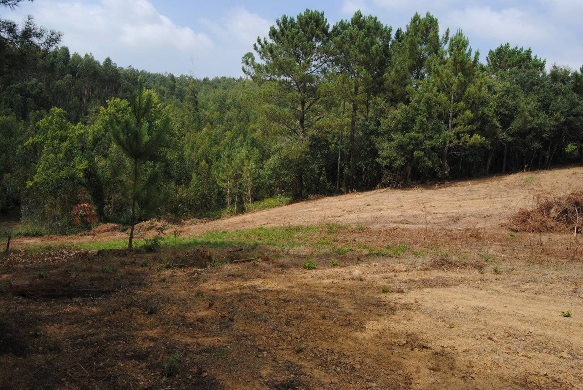 Land in Benedita, Leiria 12892110