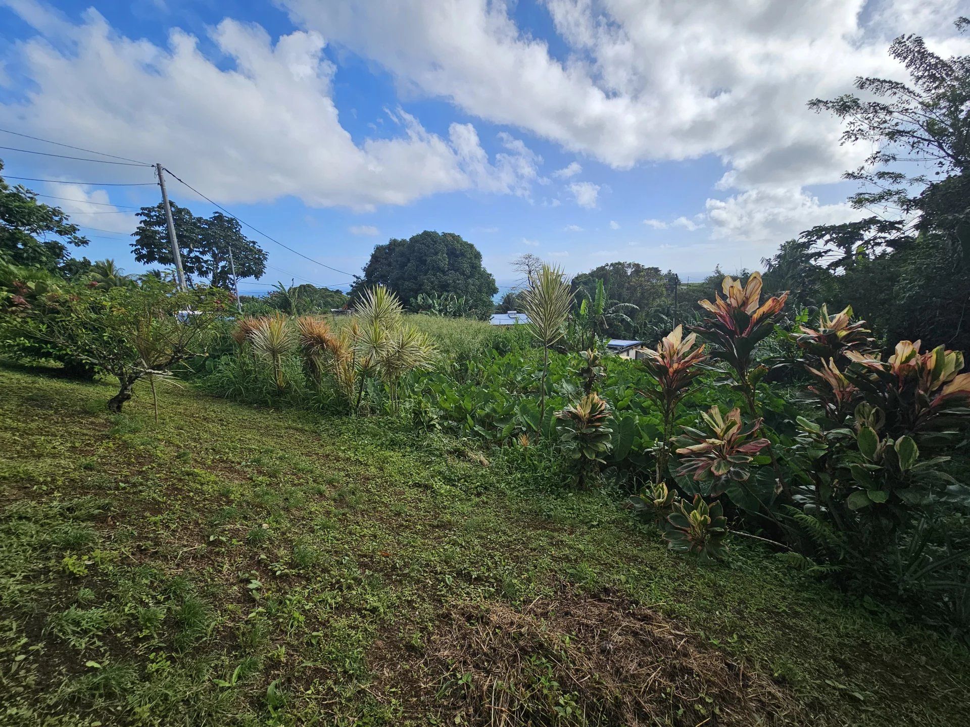 Tanah di Sainte-Marie, Martinique 12892208