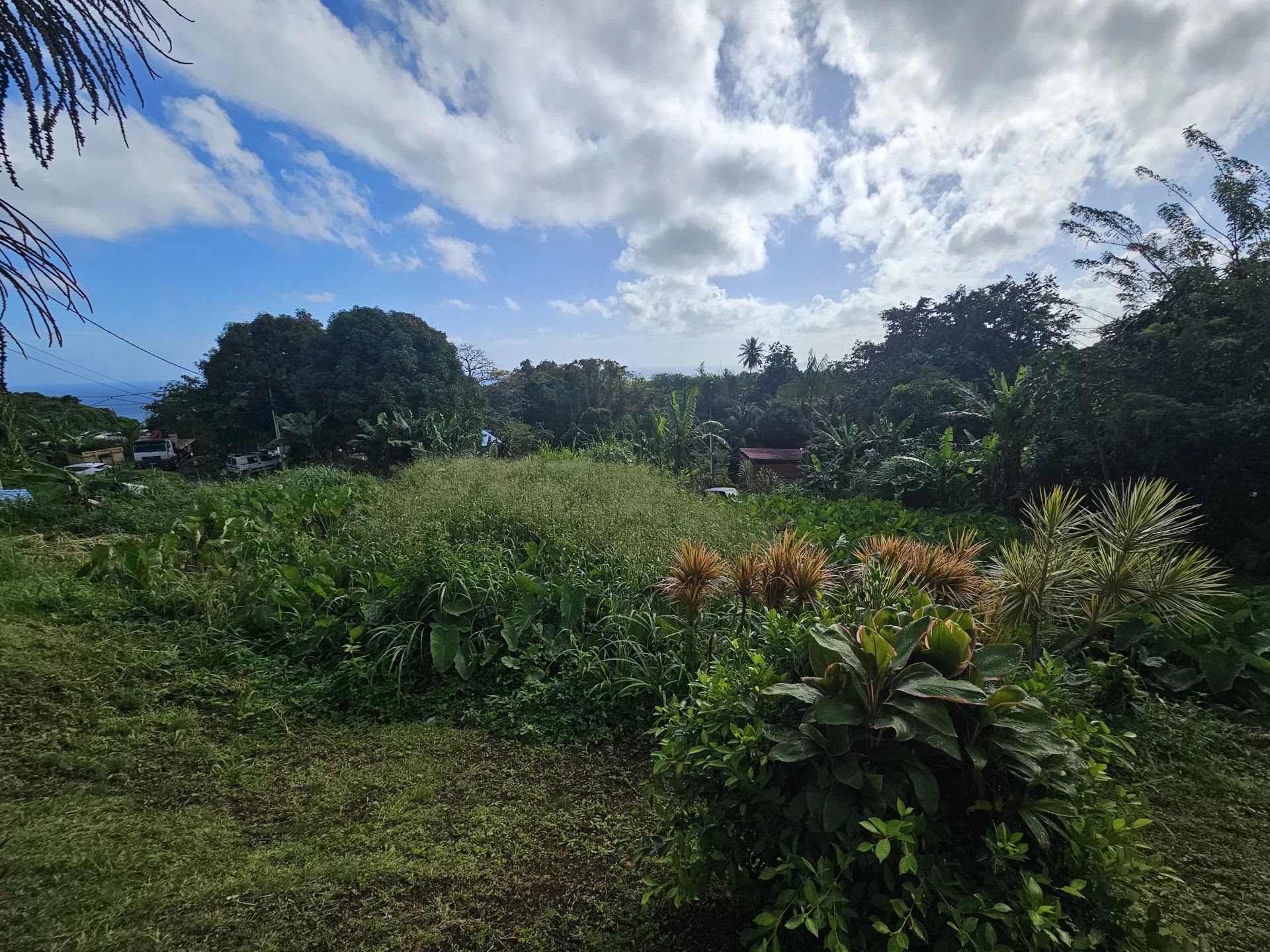 Tanah di Sainte-Marie, Martinique 12892208