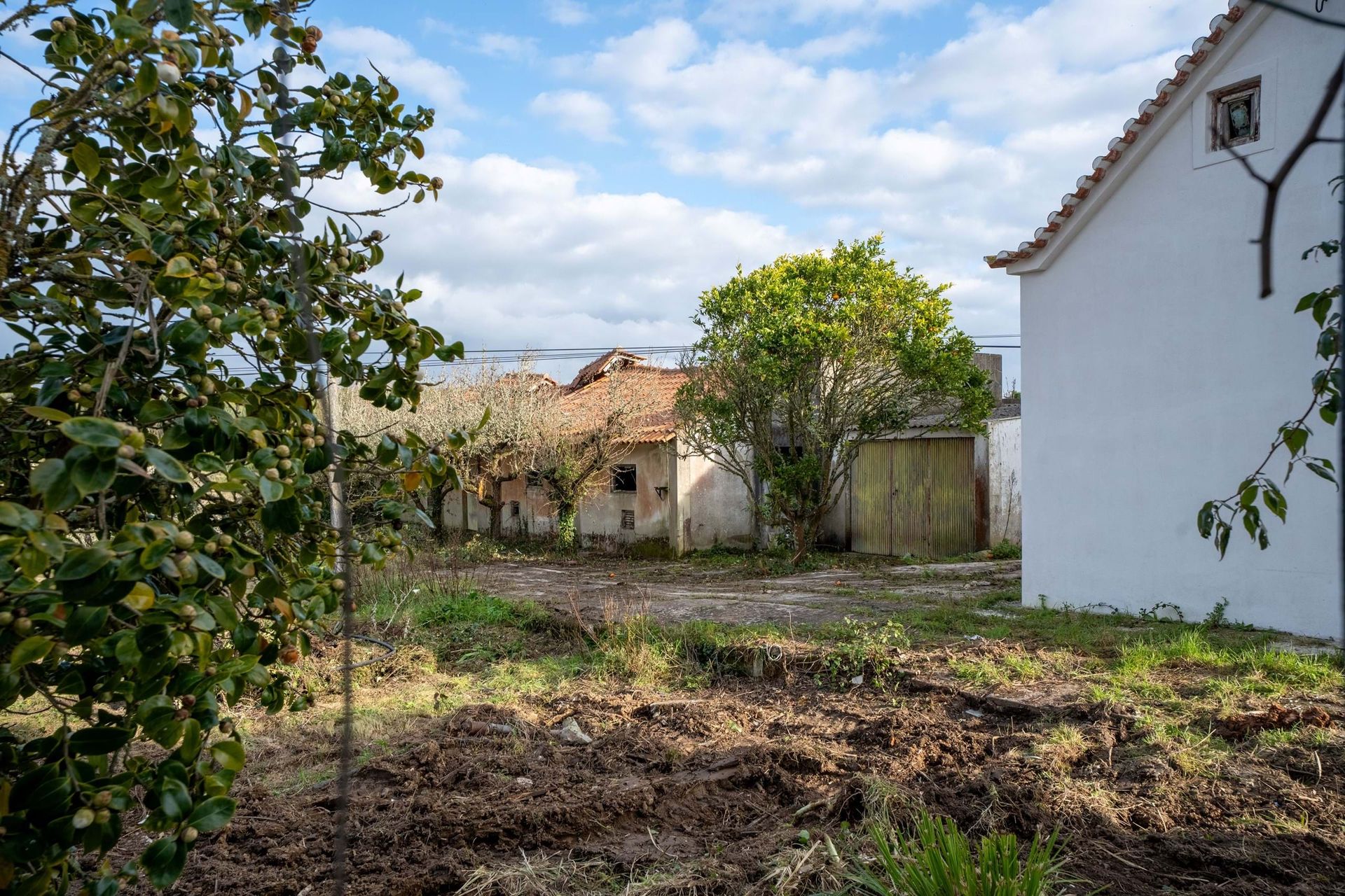 жилой дом в Caldas da Rainha, Leiria District 12892440