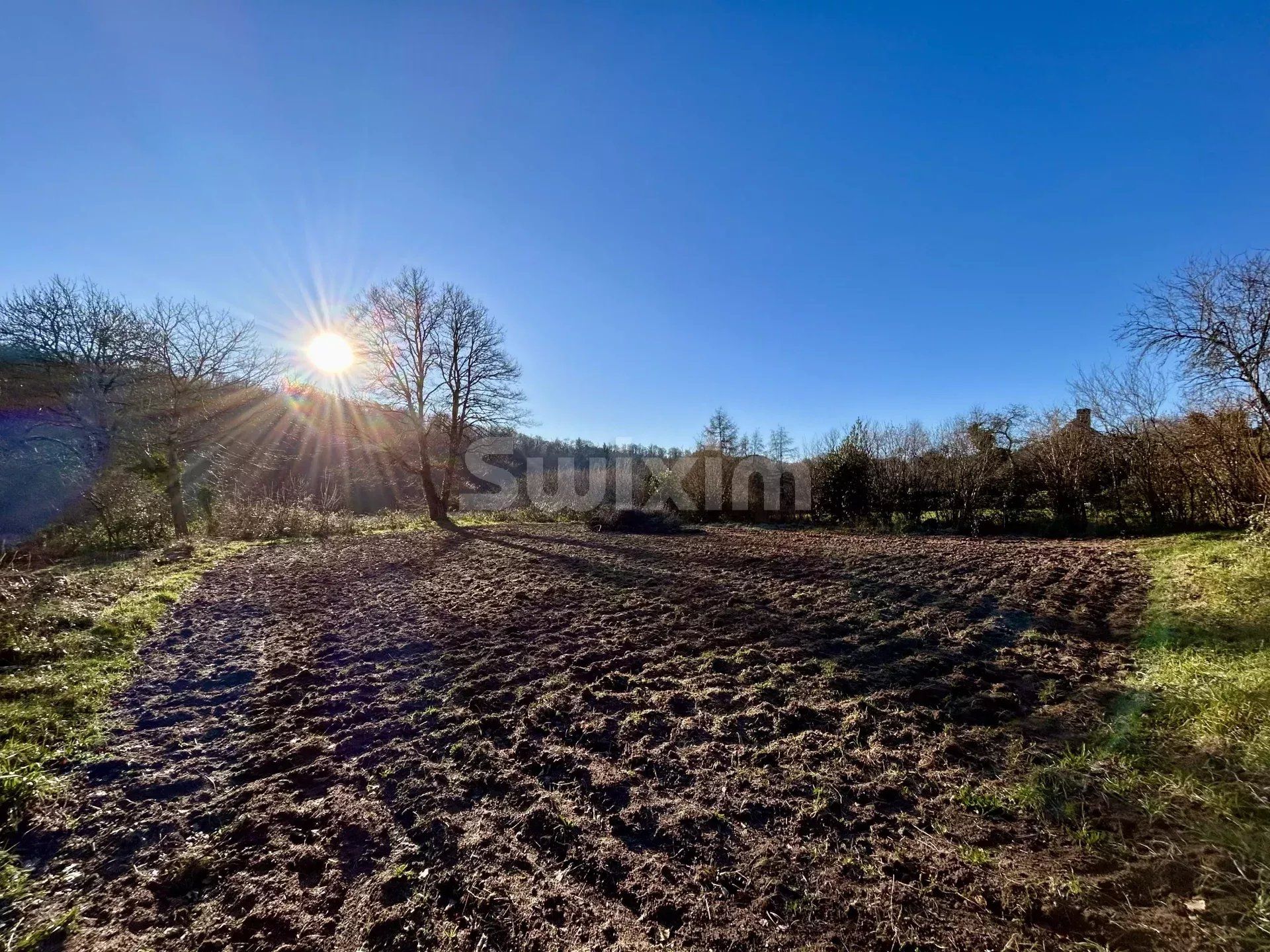 Lain di Quarré-les-Tombes, Yonne 12894016