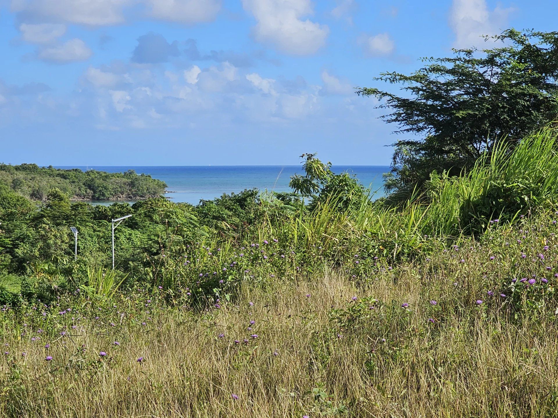 Land i Le Diamant, Martinique 12894959