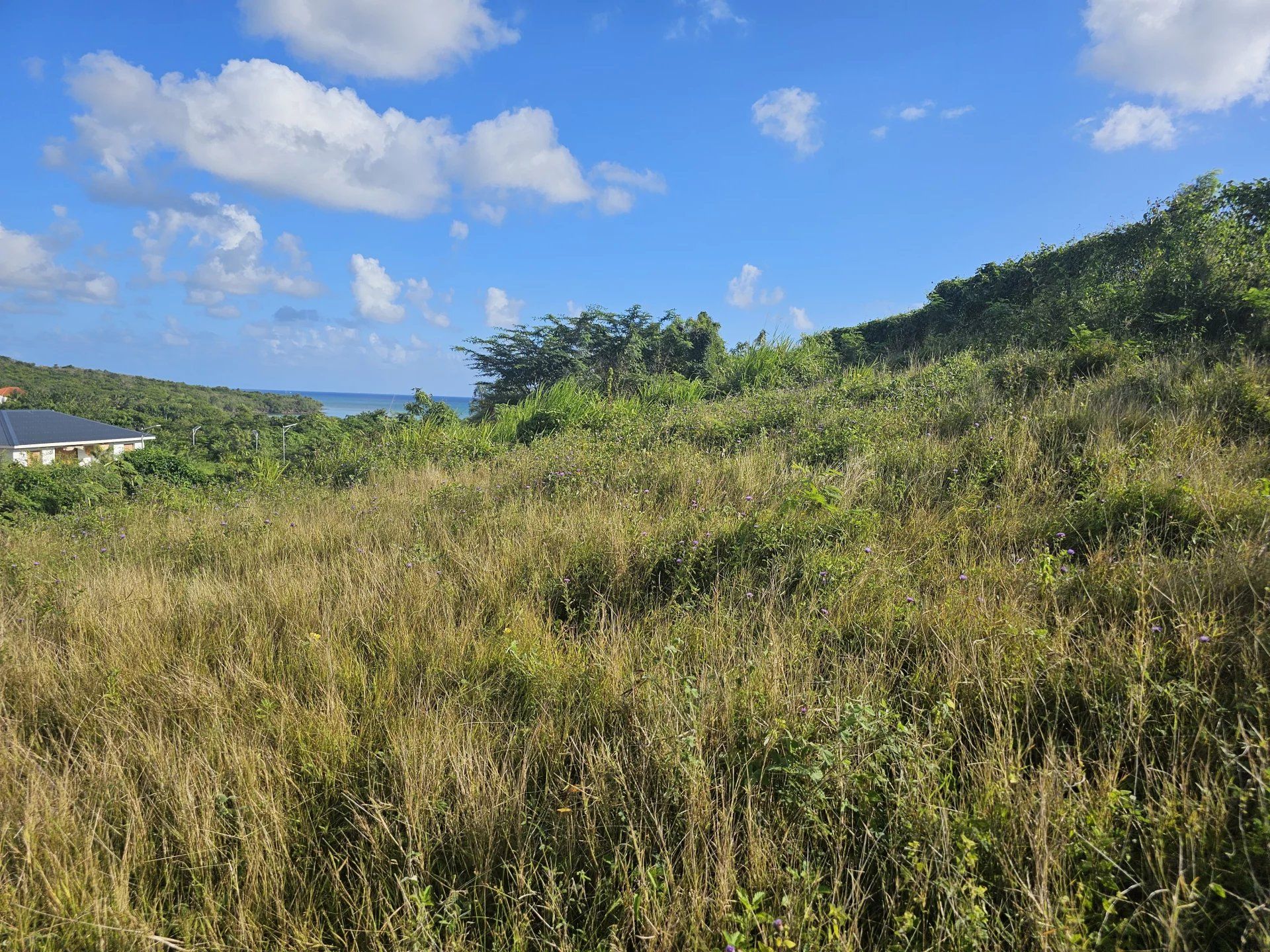 商業的 在 Le Diamant, Martinique 12894959