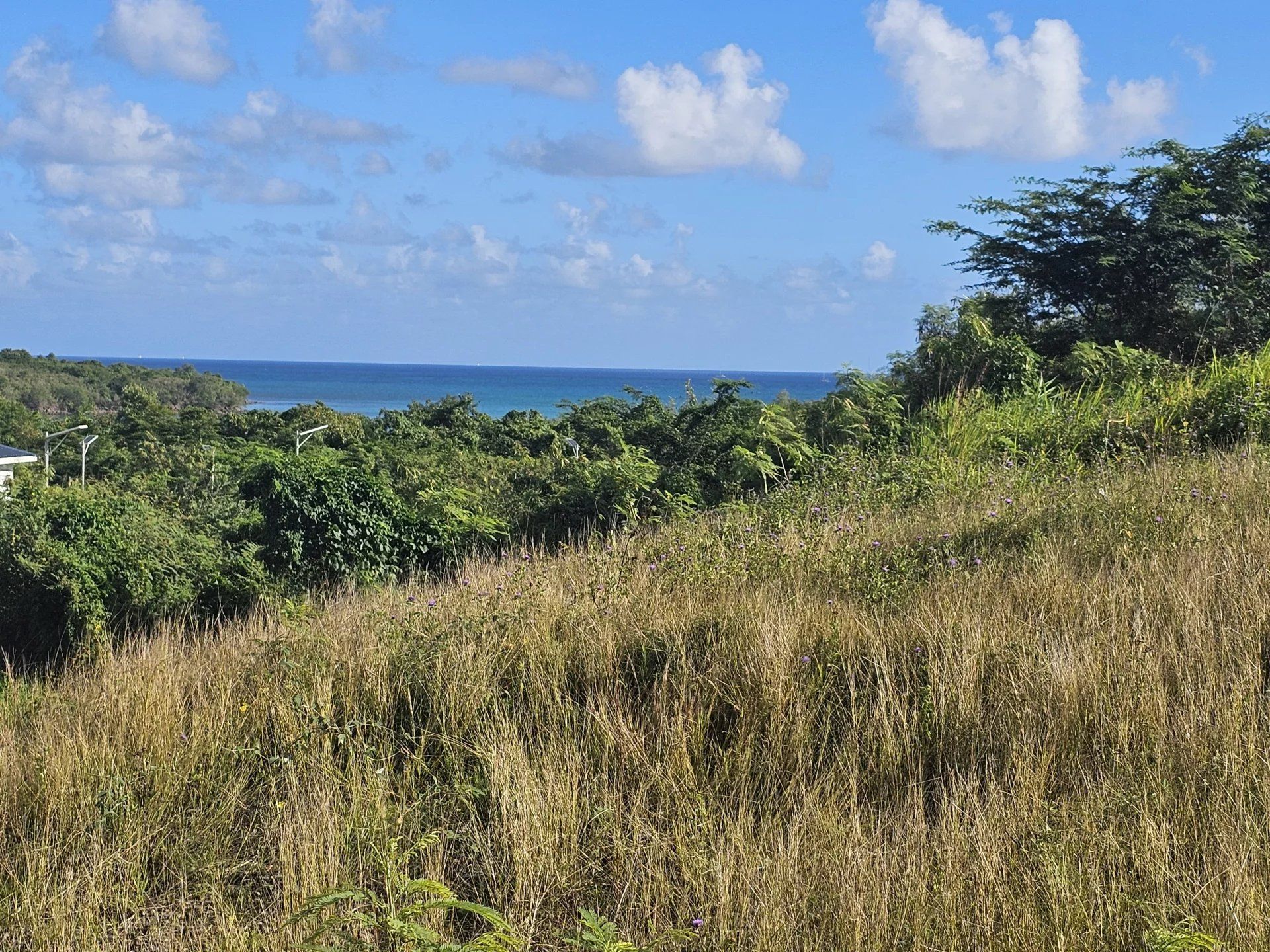 商業的 在 Le Diamant, Martinique 12894959