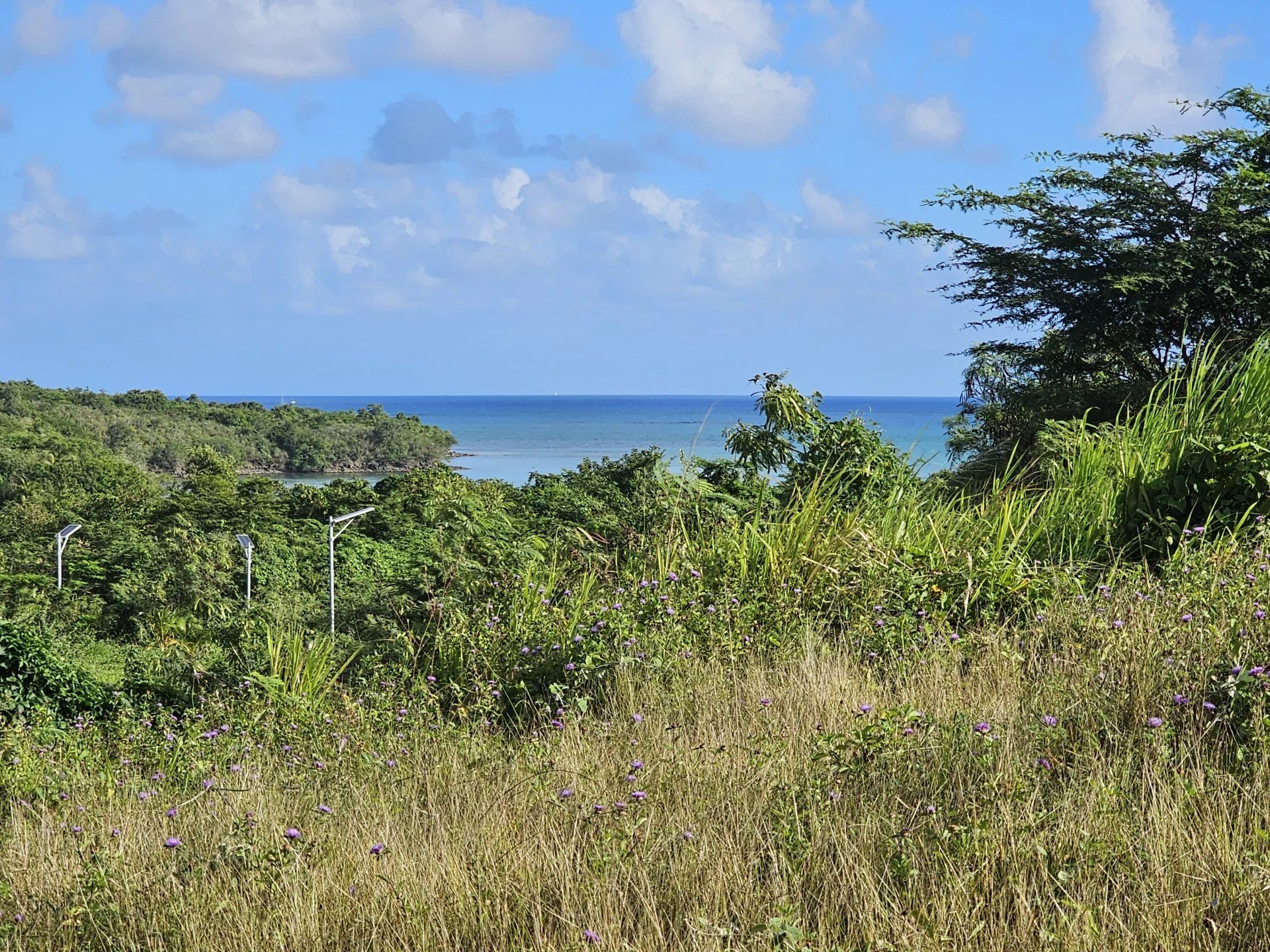 Terra no Cap Estate, Gros-Islet 12894962