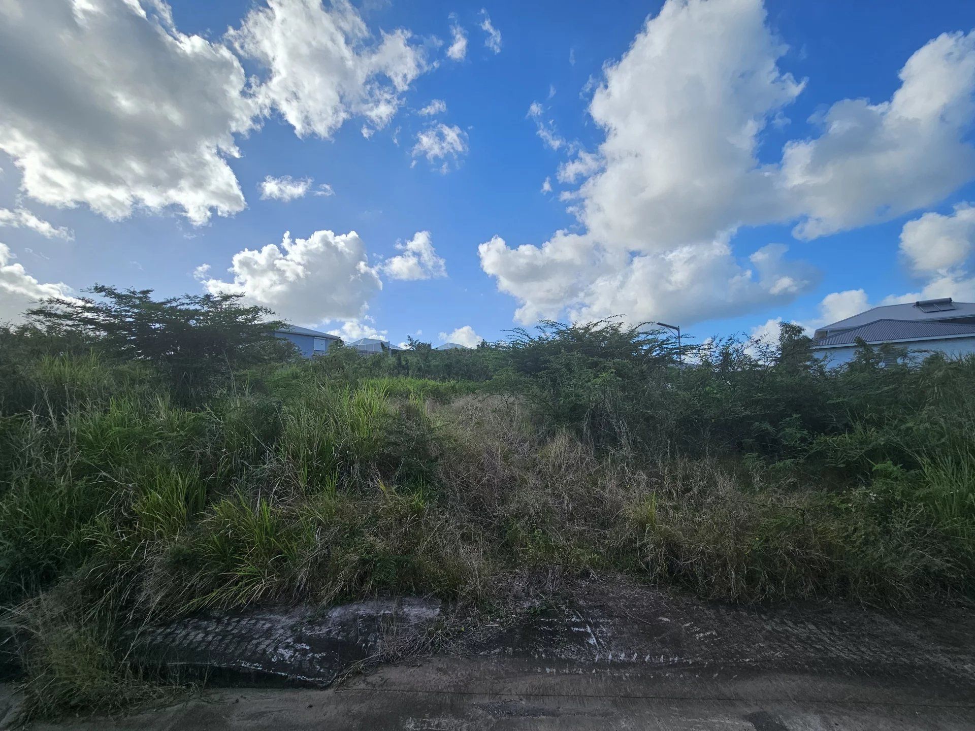 Tanah di Le Diamant, Martinique 12894962