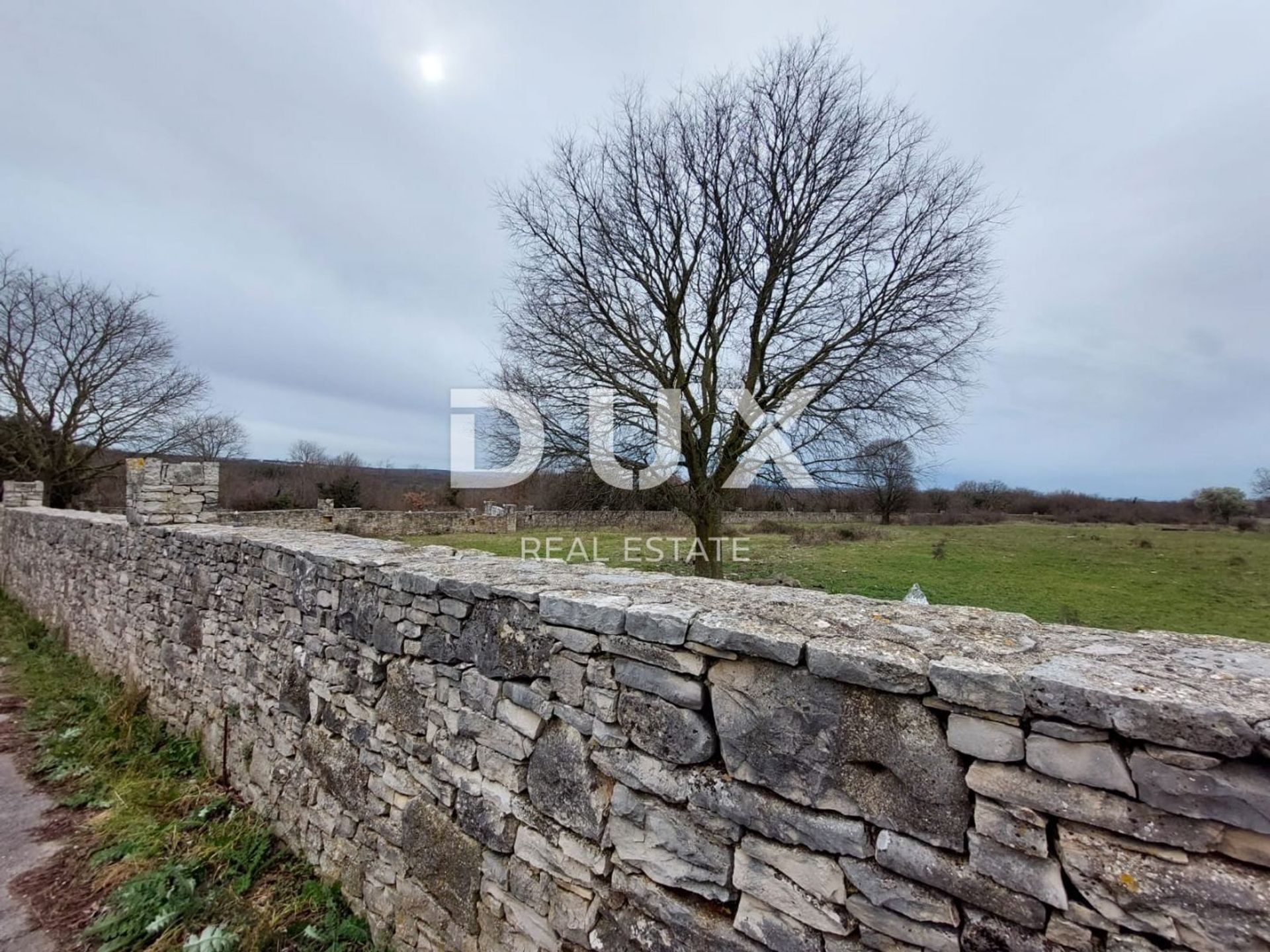 Land i Kanfanar, Istria County 12895130