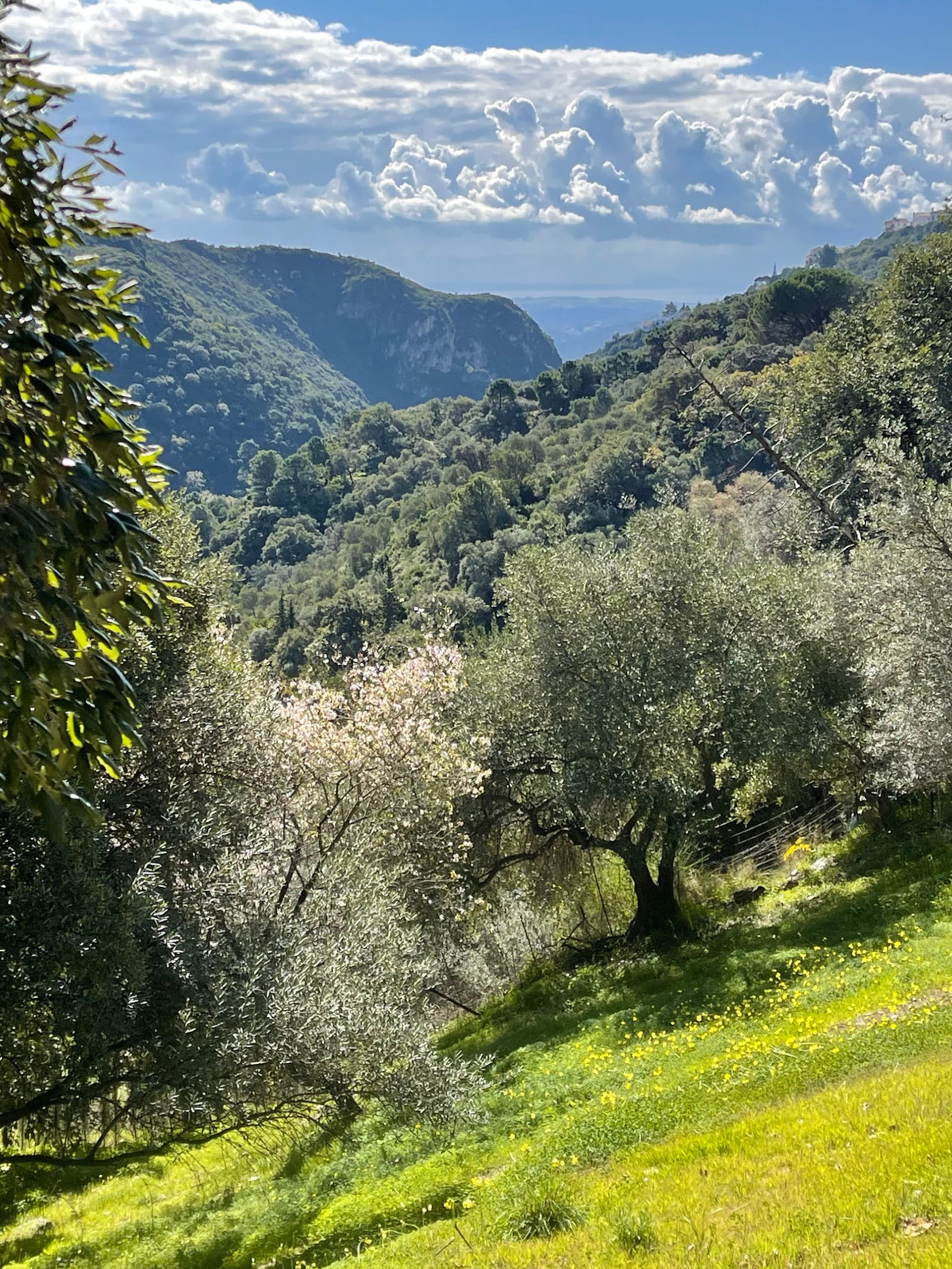 Tanah dalam Casares, Andalusia 12895204