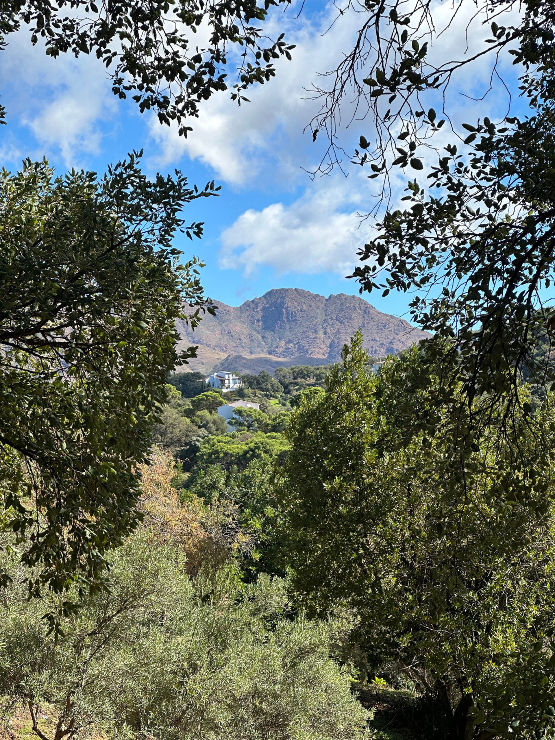 Land i Casares, Andalusia 12895204