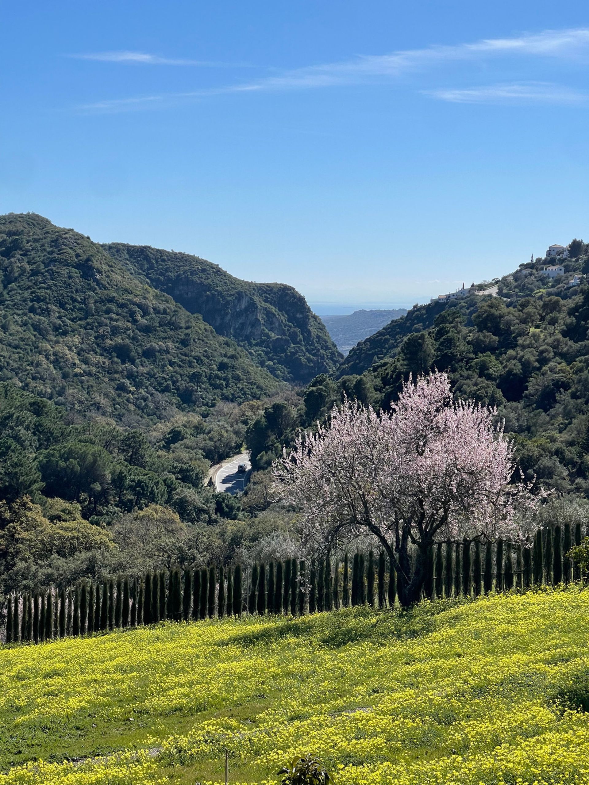 Tanah dalam Casares, Andalusia 12895204