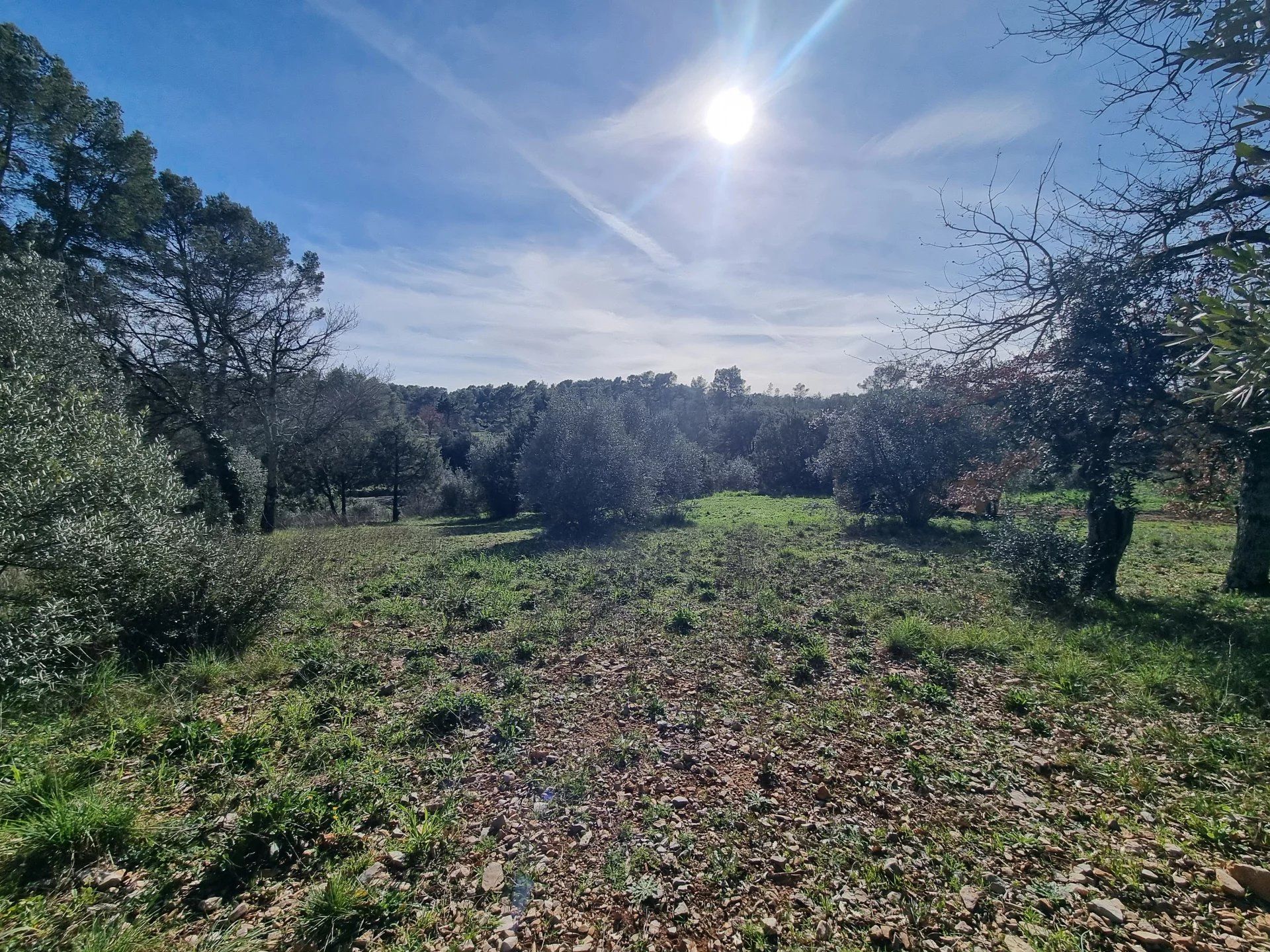 Rumah di Les Arcs, Provence-Alpes-Cote d'Azur 12895812