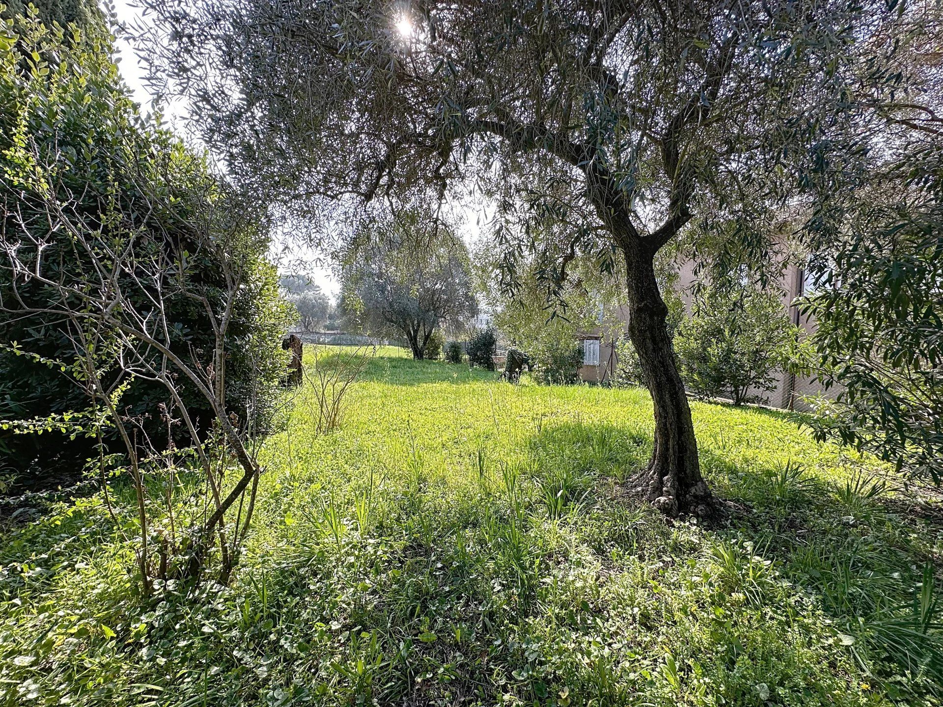 σπίτι σε Μουγκίν, Προβηγκία-Άλπεις-Κυανή Ακτή 12898511