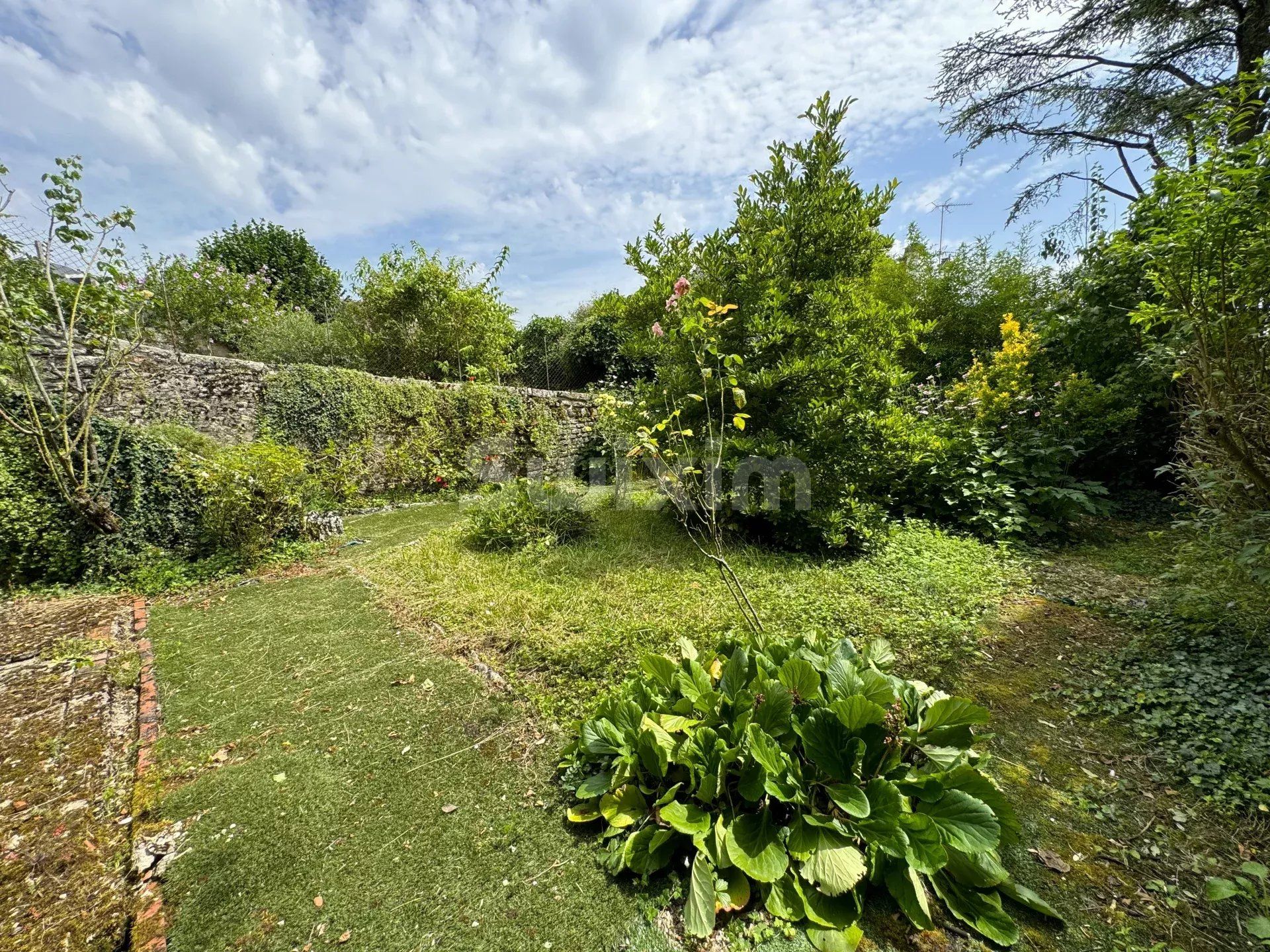 Andere im Montbard, Côte-d'Or 12898929