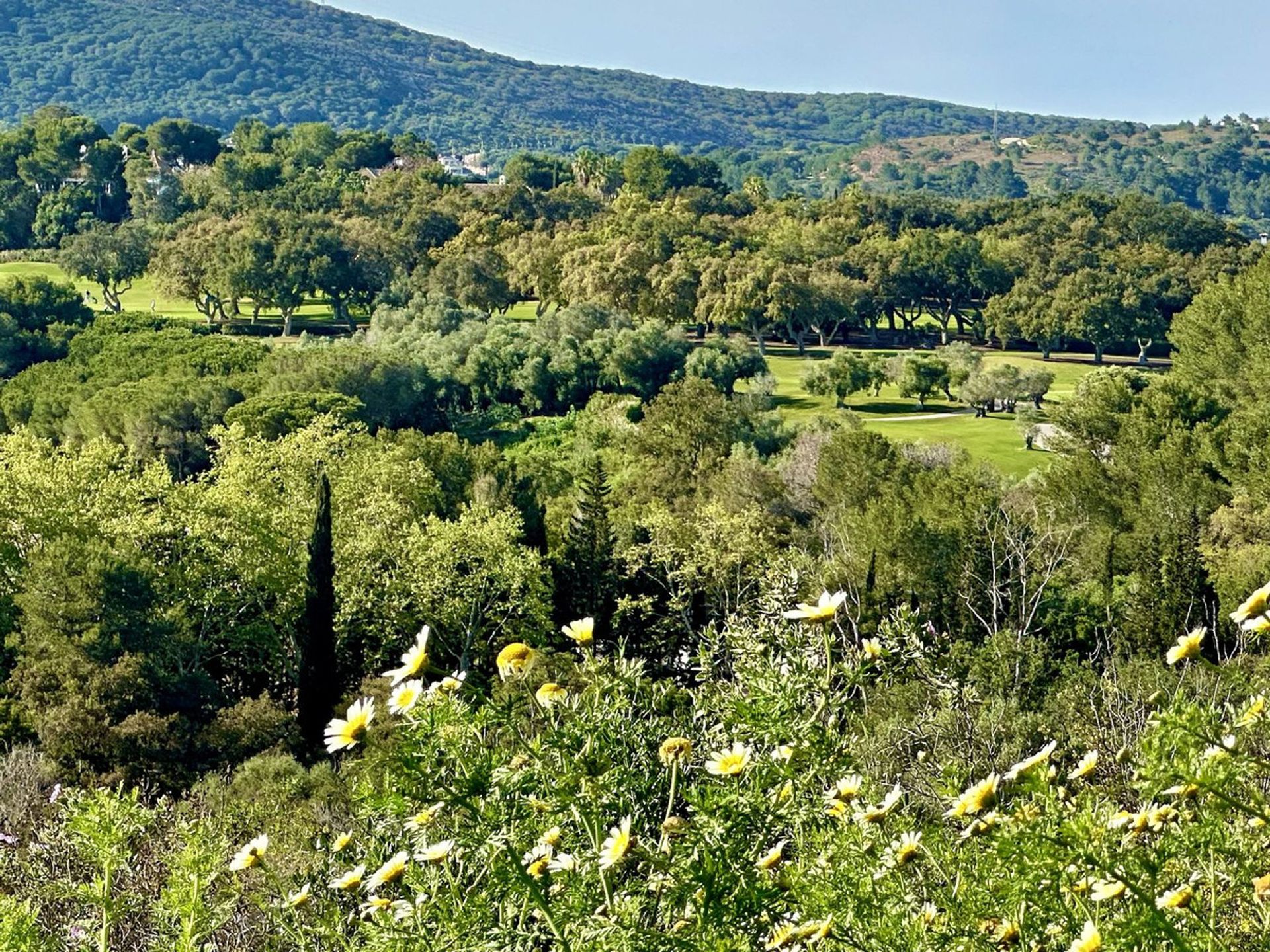 भूमि में San Roque, Andalucía 12902347