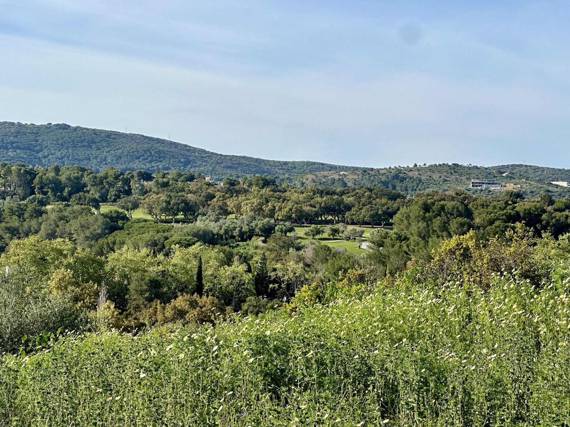 Tanah dalam Guadiaro, Andalusia 12902347