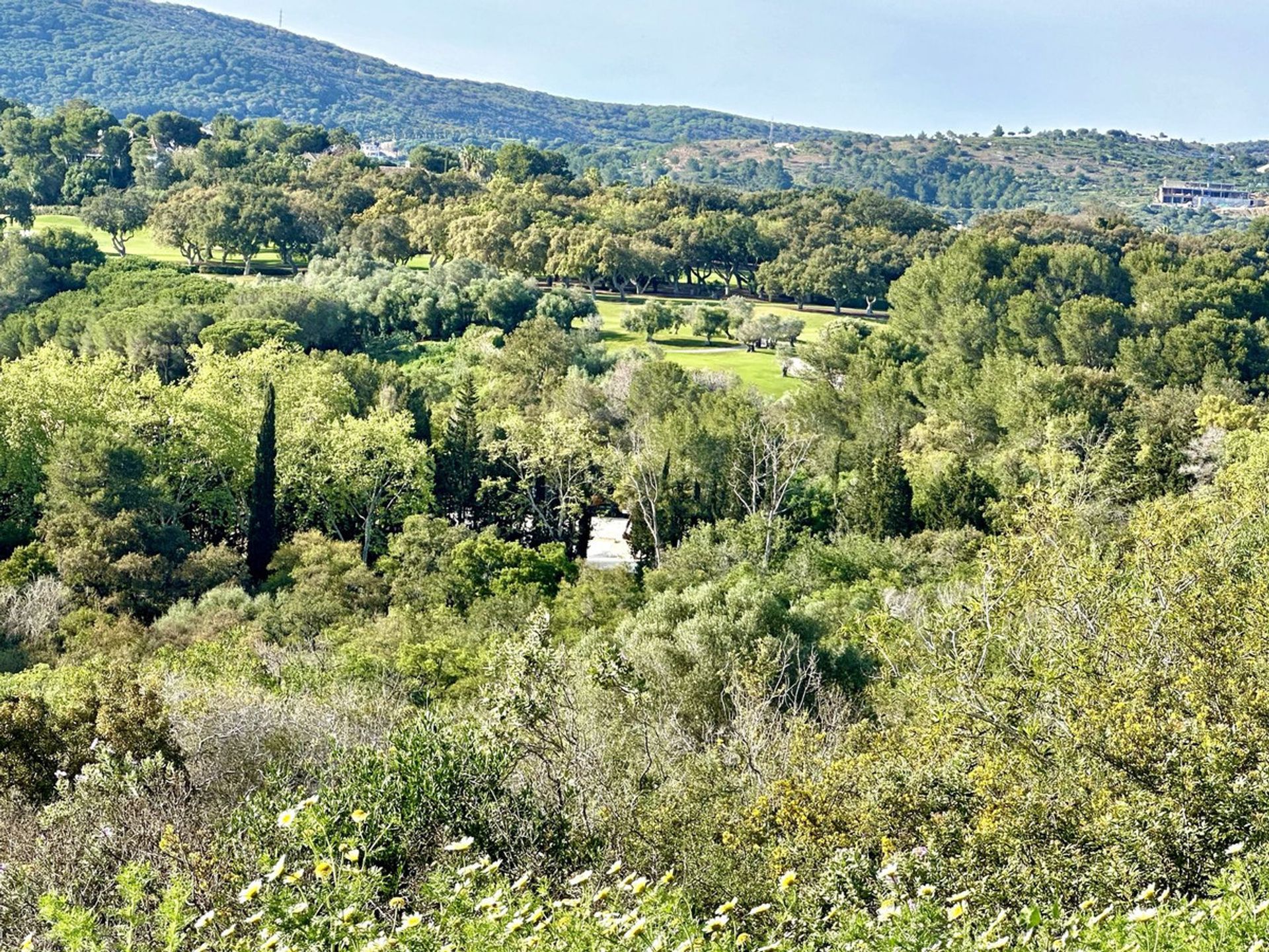 भूमि में San Roque, Andalucía 12902347