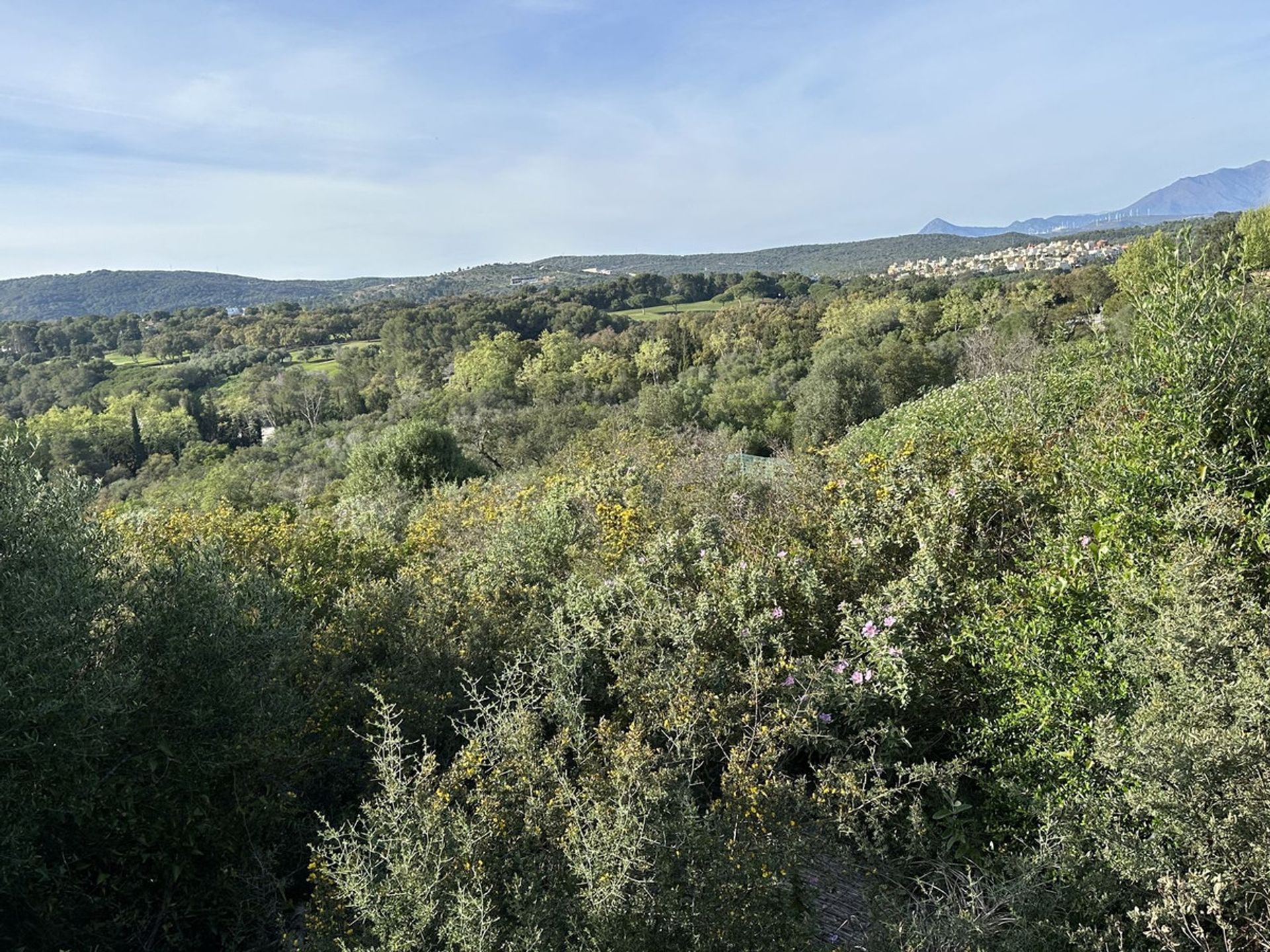 Tierra en San Roque, Andalucía 12902347