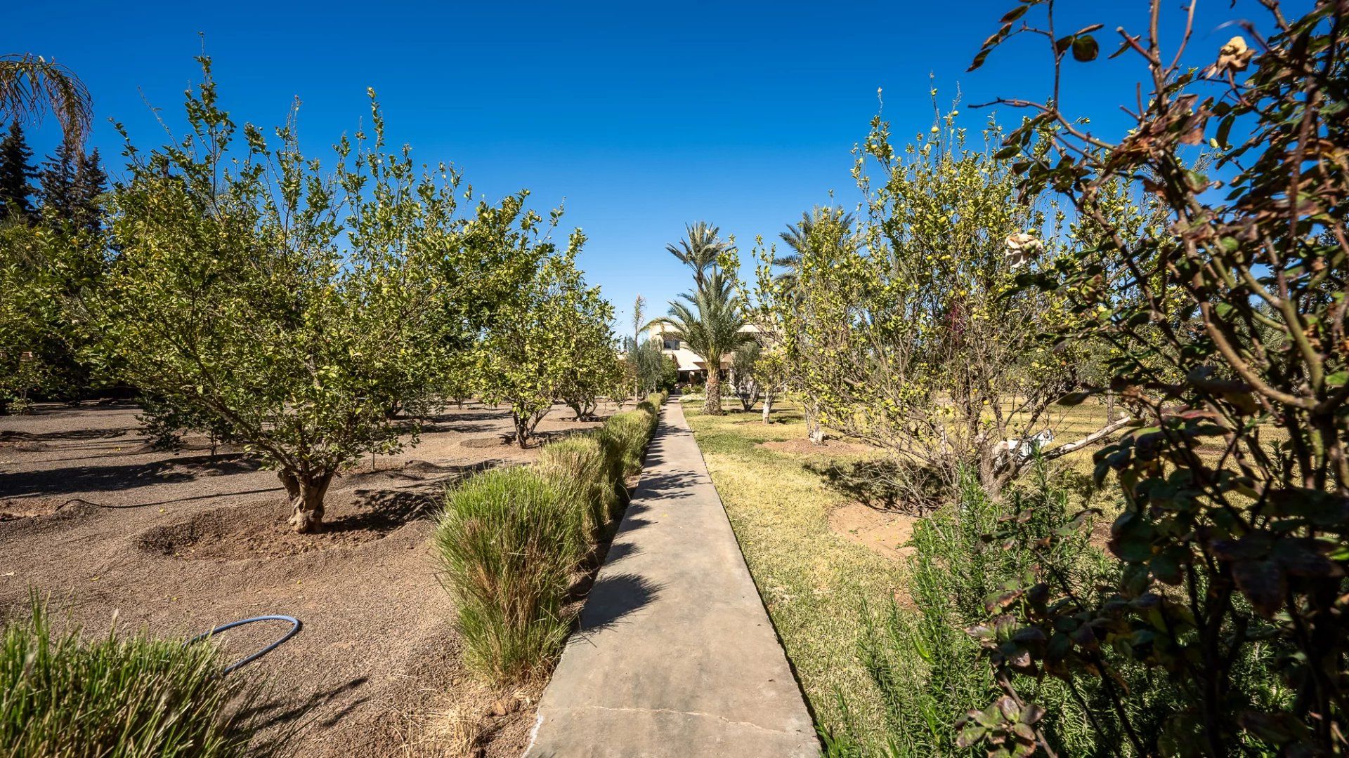 Huis in Marrakech, Marrakech-Ménara 12902505