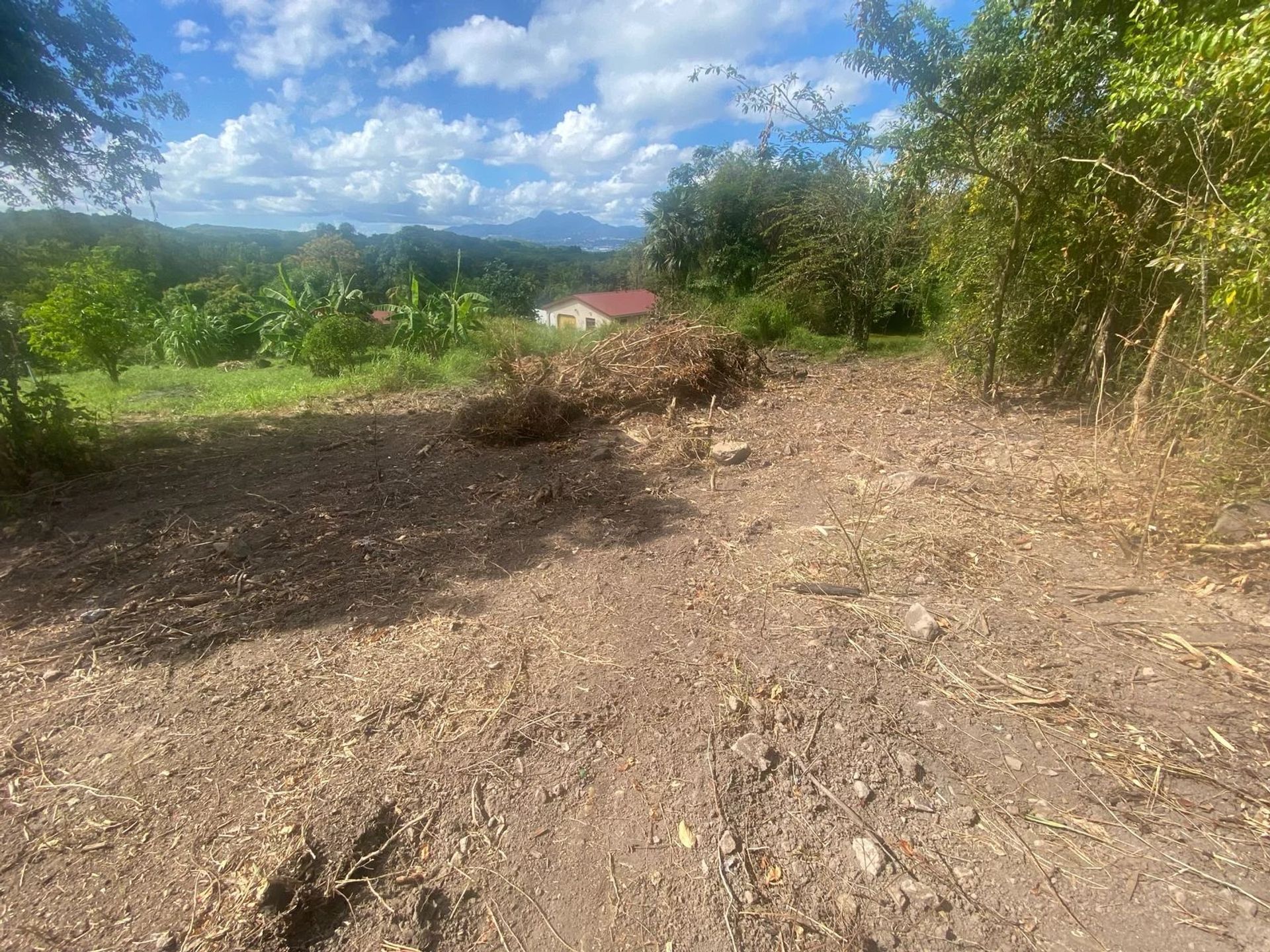 Kaupallinen sisään Les Trois-Îlets, Martinique 12902511