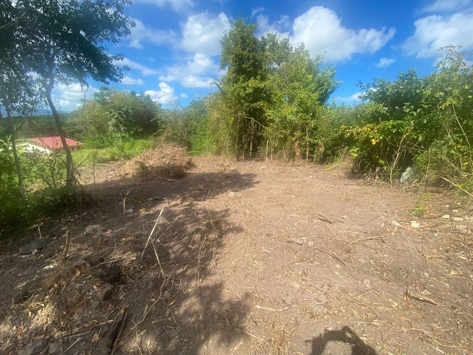 Kaupallinen sisään Les Trois-Îlets, Martinique 12902511