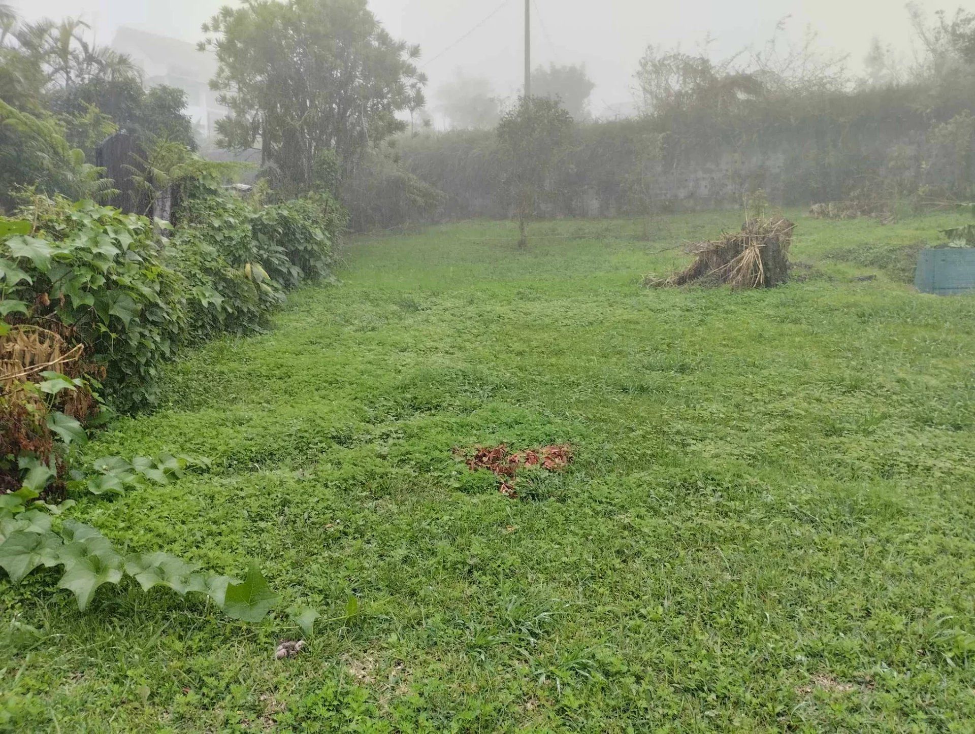 Land in Saint-Louis, La Réunion 12903273