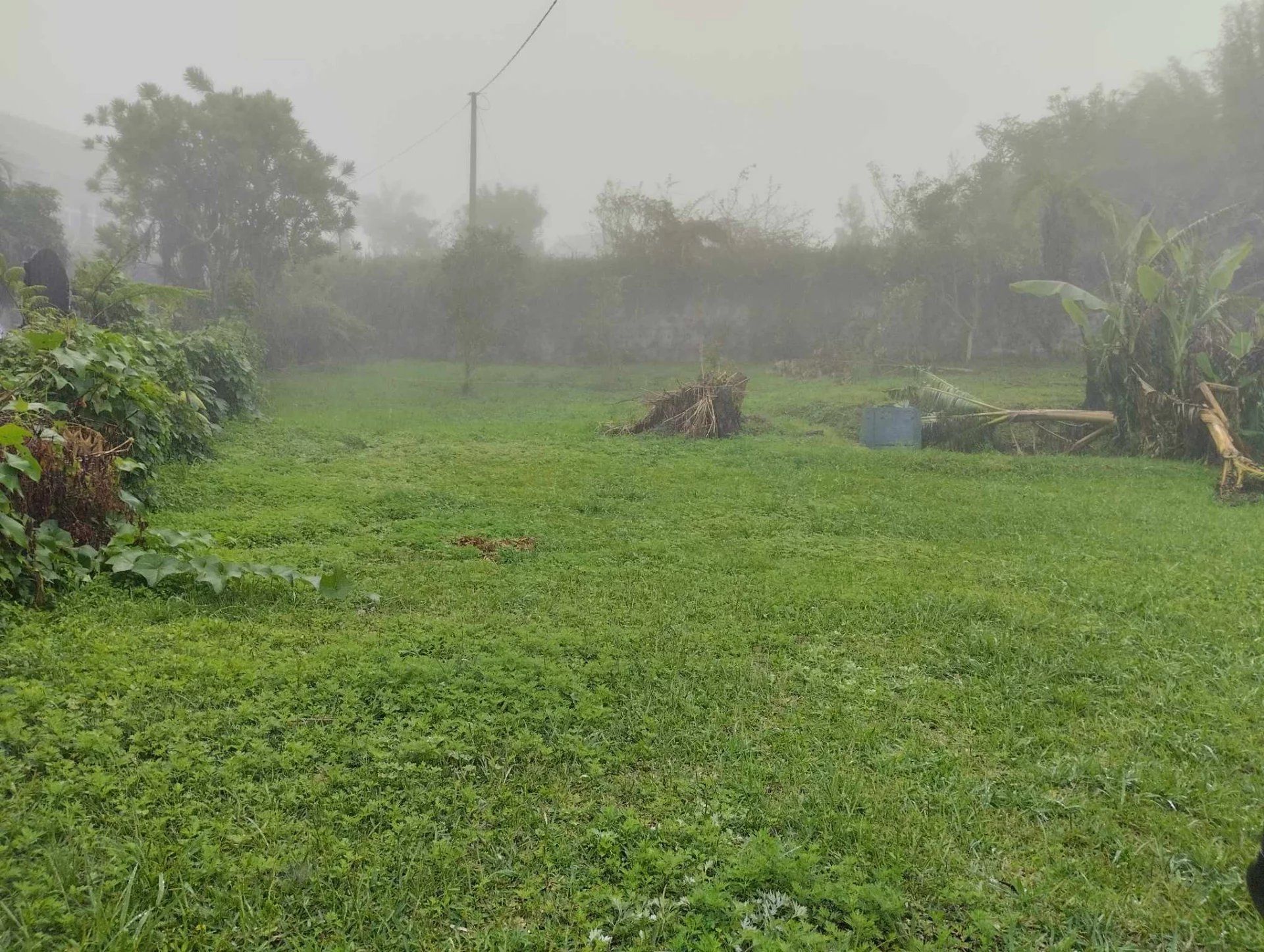 Terra no Saint-Louis, La Réunion 12903273