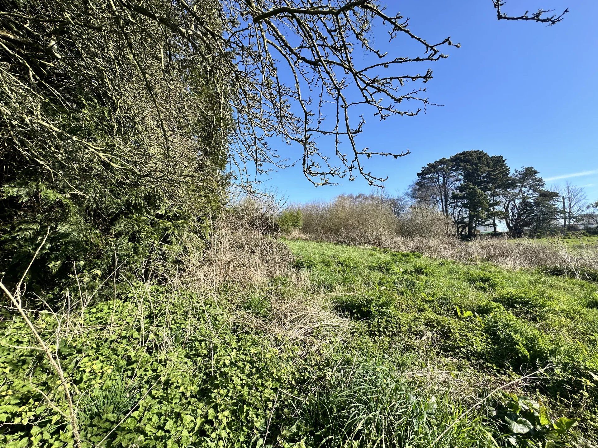 房子 在 Ploemeur, Morbihan 12904663