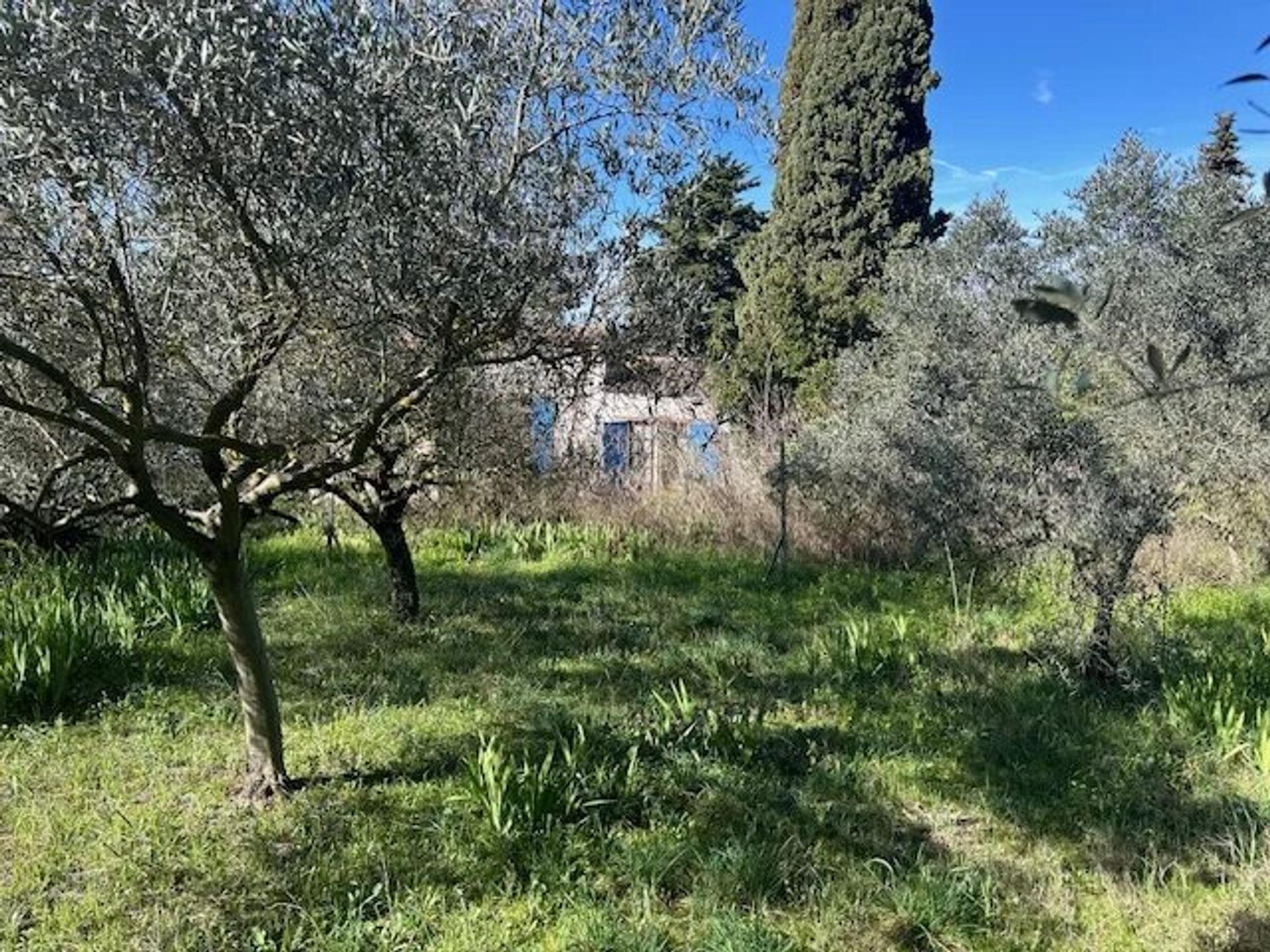 آخر في Arles, Bouches-du-Rhône 12904699